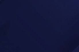 灰熊10人轮换全部有得分进账！埃迪半场7分7篮板3助攻