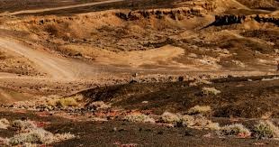 德州扑克不是翻牌后的世界（德州扑克不只是翻牌后的游戏）