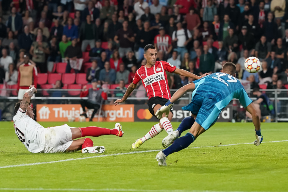 子拳击的训 子拳击的训